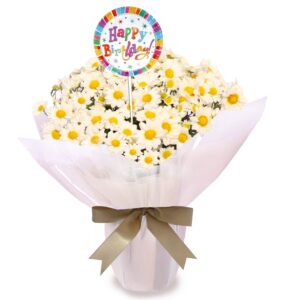 Mini Margaridinhas Brancas Happy Birthday