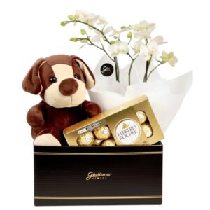 Cesta Flowers e Dog