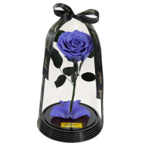 Fabulosa Rosa Encantada Lilás